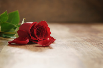 beautiful red rose and petals on old wood table, romantic background with copy space