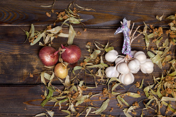 Fototapeta na wymiar Bunch of garlic, onion and lime flowers