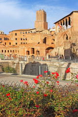 Obraz premium Trajan forum, Rome, Italy