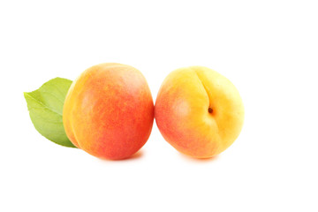 Ripe apricots fruit isolated on a white