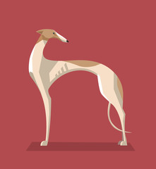 Greyhound dog minimalist image