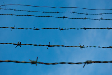 Barbed wire and blue sky