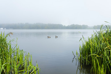 Fog over a pond, sports stations, Chizhovsky reservoir, the city of Minsk, Belarus, October, autumn, morning,