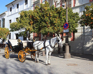 Touristic horse carriage in Seville, Spain.
