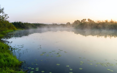 Fototapeta premium Fog over a pond, sunrise, river Pripyat Reserve Mid-Pripyat, Brest region, Belarus, summer, June, morning,