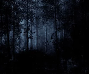 Stickers muraux Forêt Forêt bleu foncé avec le brouillard mystique. Idéal pour les arrière-plans de modèles Web.