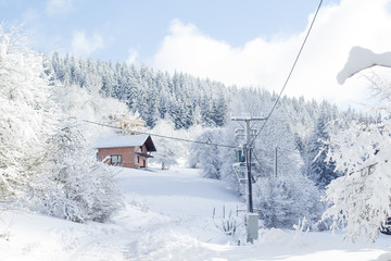 Wooden house in winter forest