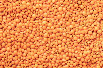 texture of uncooked lentil closeup