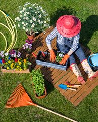 Woman sitting on the lawn, wearing gloves, straw hat potting  flowers. Gardening concept.