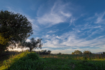 Campania Felix
