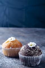 homemade chokolate and vanilla capcakes