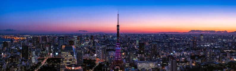 Fototapeta na wymiar 東京タワーと東京都心の夕景・大パノラマ