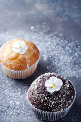 homemade chokolate and vanilla capcakes