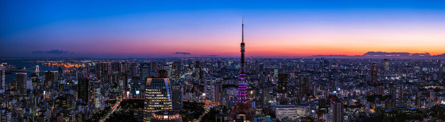 Vue du soir et panorama de la tour de Tokyo et du centre de Tokyo
