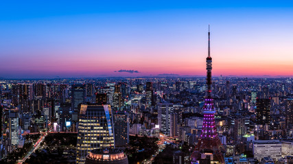 Fototapeta na wymiar 東京タワーと東京都心の夕景・夜景