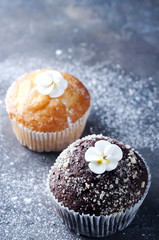 homemade chokolate and vanilla capcakes