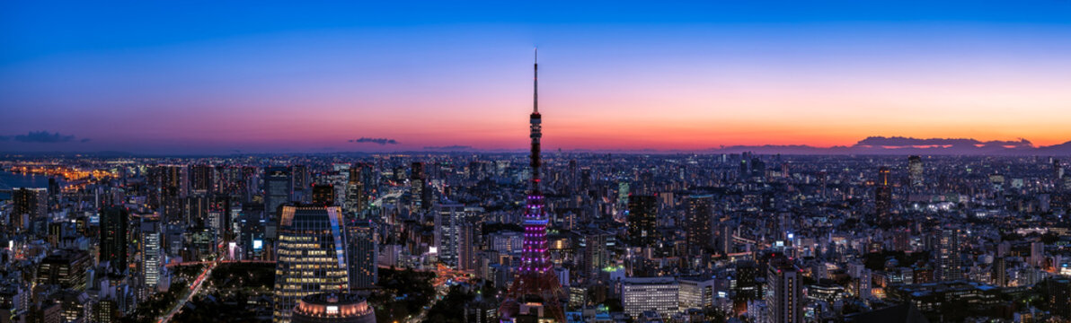 東京タワーと東京都心の夕景・大パノラマ © hit1912