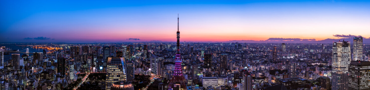 Ultra wide panorama image of Tokyo central are and Tokyo Tower © hit1912