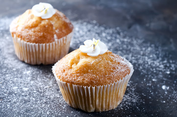 homemade vanilla capcakes