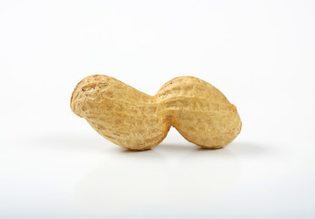 unpeeled peanut in shell