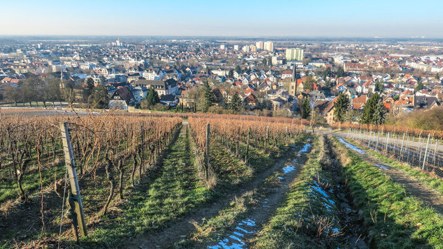 Rundblick auf Bensheim