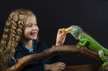 little girl feeds a green iguana   