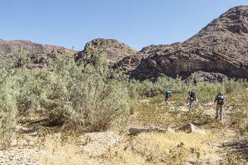 Wanderer im ausgetrockneten und dicht bewachsenen Flussbett des Fish River