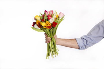 Male hand with bouquet of tulips, isolated