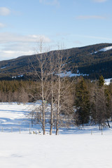 Winter landscape west in Norway