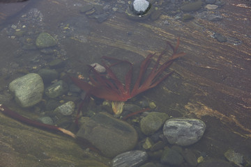 Pond in the mountains in Norway