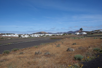Lava landscape on Lanzarote