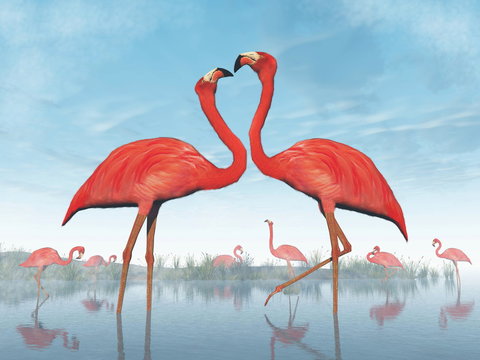 Flamingos courtship - 3D render