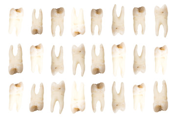 human teeth close-up, collage