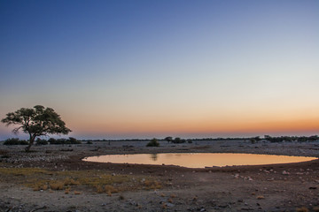 Waterhole Sunset