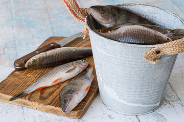 
 River fish,.   Small river fish, perch and roach, on the cutting board and in metal bucket on a light wooden table.
