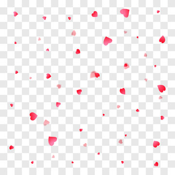 Valentines petals falling on transparent background
