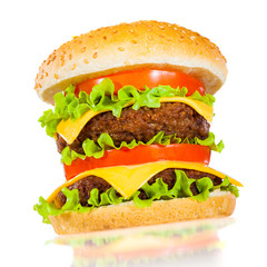 Tasty and appetizing hamburger on a white