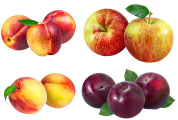 plums, apples, peaches, nectarines on a white