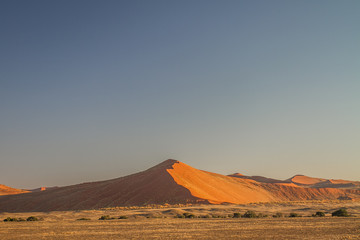 Fototapeta na wymiar Namib Desert Dunes