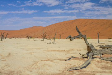 Namib Desert Dunes