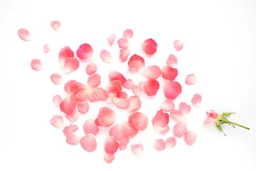Poster de jardin Roses Pattern from petals of pink roses