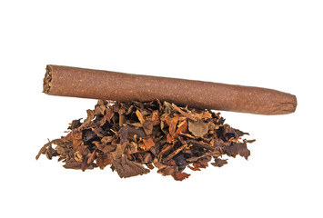 Tobacco and cigar on a white background