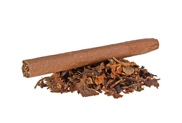 Tobacco and cigar on a white background