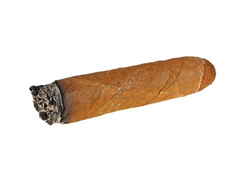 Brown cigar burned on white background