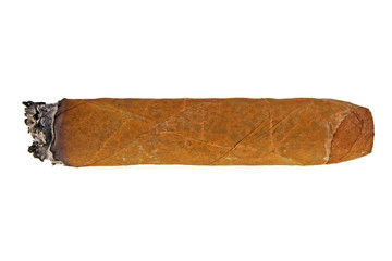 Brown cigar burned on white background