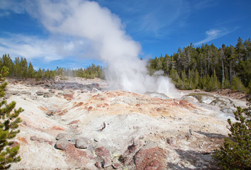 Norris geyser basin