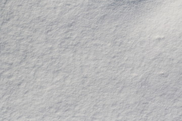 Obraz premium fresh snow background and texture