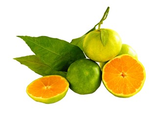 kind of oranges called miyagawa