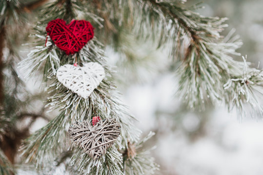 Valentines hearts on winter tree branches background. Valentines Day concept. Selective focus. Free space