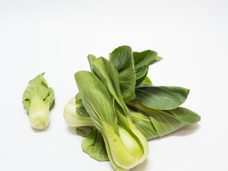 Green Mini Chinese Cabbage on white background